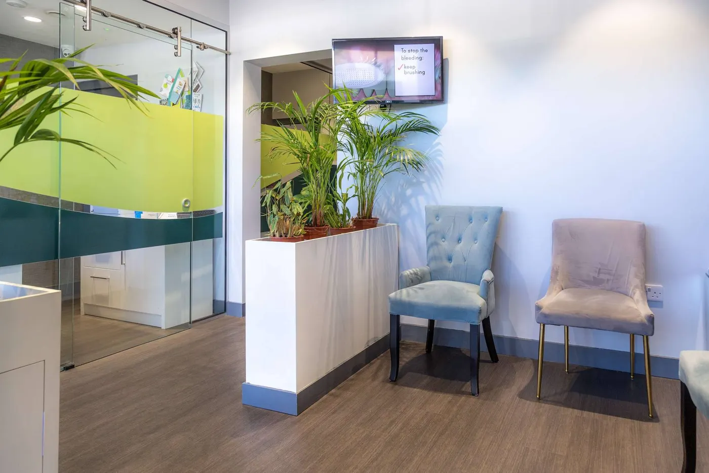 Riverforest Dental, Leixlip, Co. Kildare: Riverforest Dental waiting room with planter, two chairs, wall-mounted screen and a glass sliding door to reception.